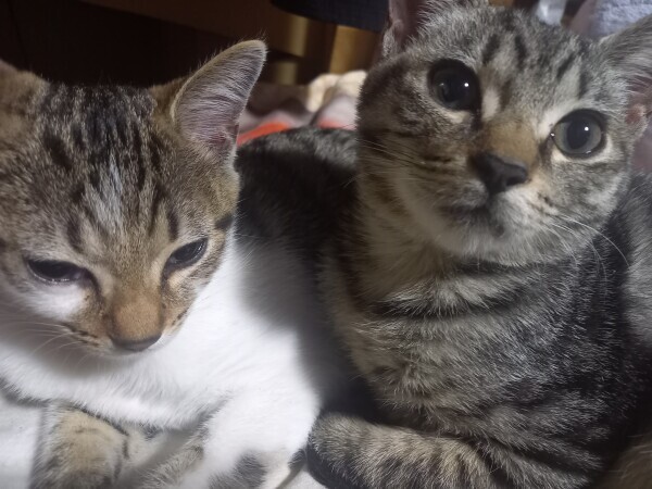 おはようございます☀️