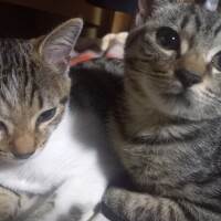 おはようございます☀️