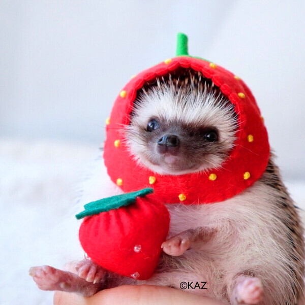 ⭐️⭐️今日も1日お疲れ様です⭐️⭐️