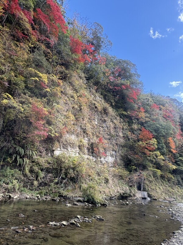 (日)お昼から出勤です🤗