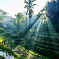 🍁🍁おはようございます🍁🍁