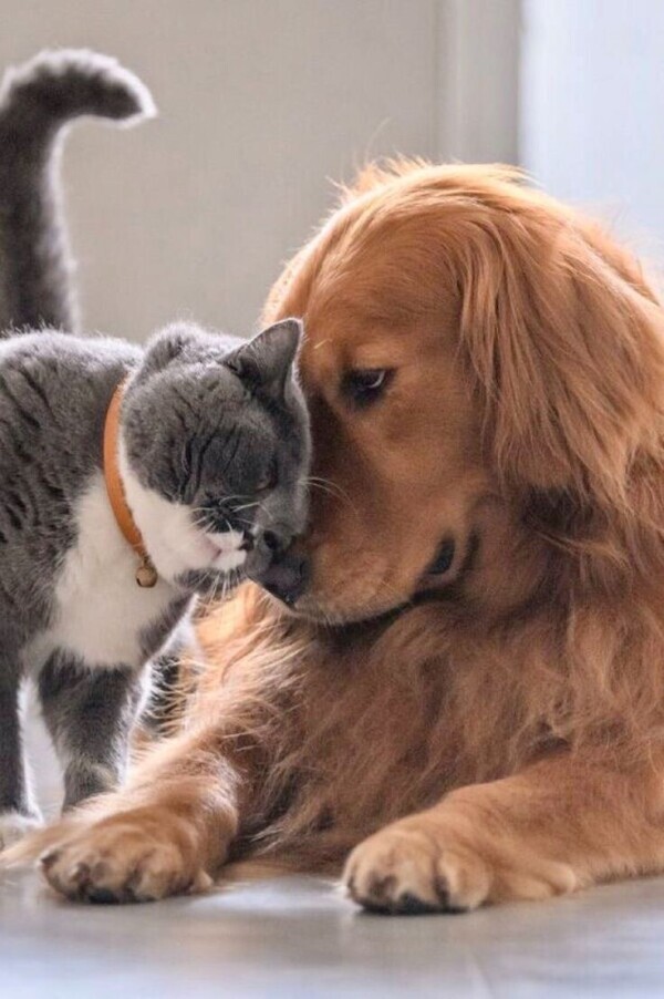 おはようございます☁️