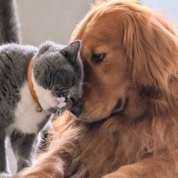 おはようございます☁️