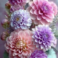 明日もよろしくお願いします⭐️