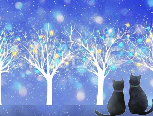 おやすみなさい