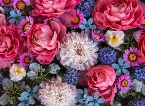 ありがとうございました♥️