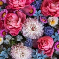 ありがとうございました♥️