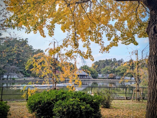 本日お昼から出勤です🐾