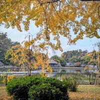 本日お昼から出勤です🐾