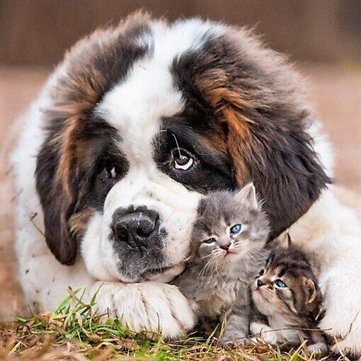 おはようございます☀️