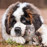 おはようございます☀️