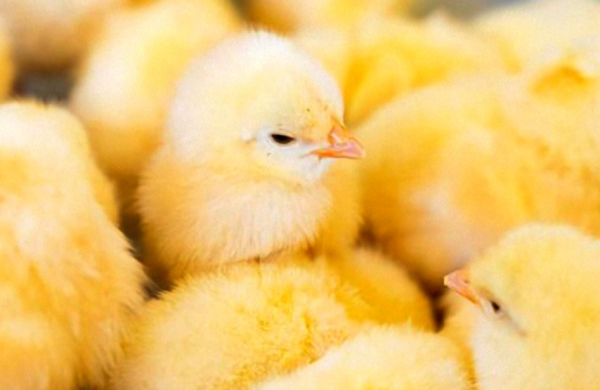 来月も来てね✨