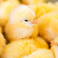 来月も来てね✨