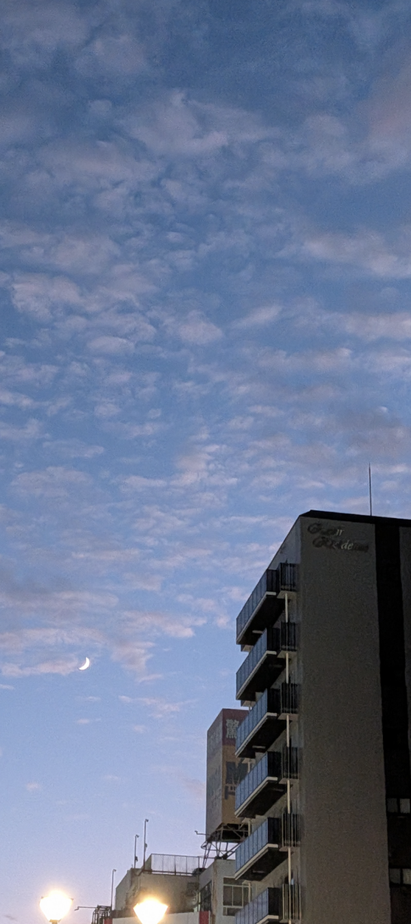 出勤しました☀