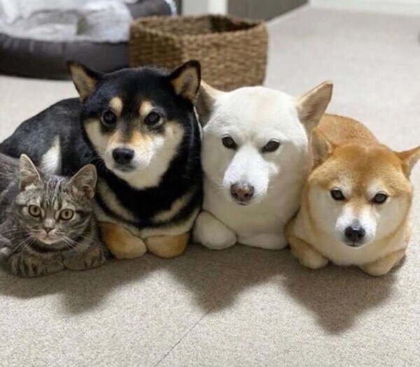 お休み1日目🏥