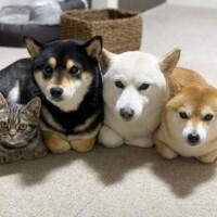 お休み1日目🏥