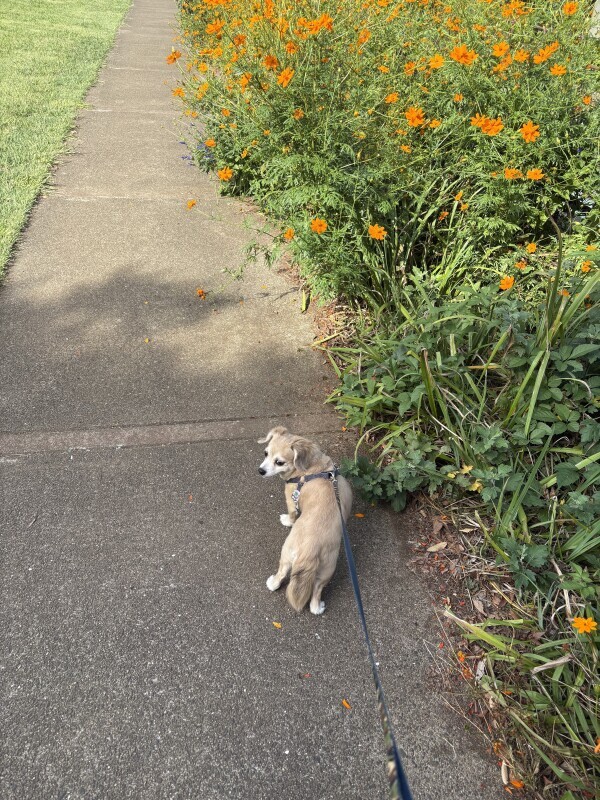 (火)お休みです🙏