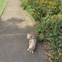 (火)お休みです🙏