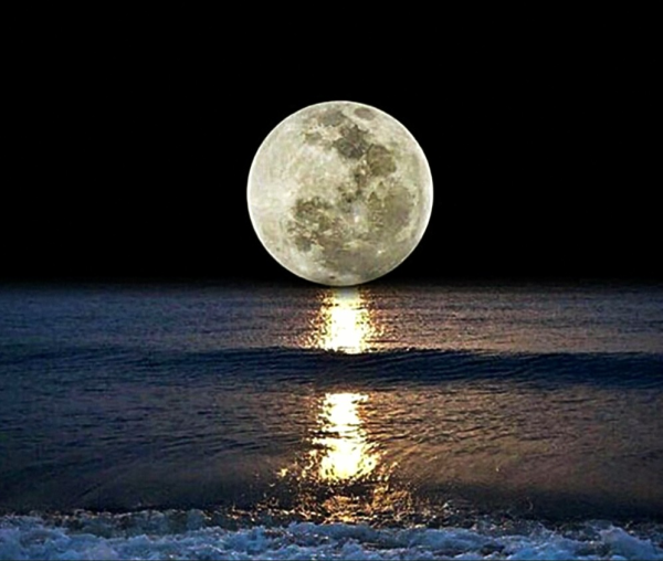 おやすみなさい🌛