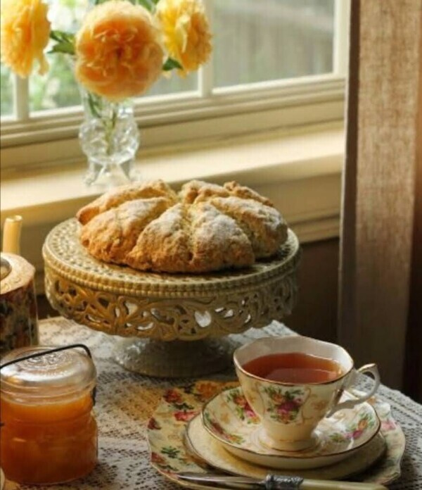 ✨🪷夕方から🪷✨