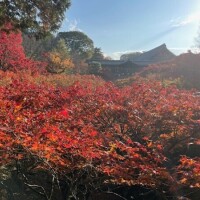 マダムの日は晴れ☀️