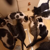 ゴミ出し完了😸