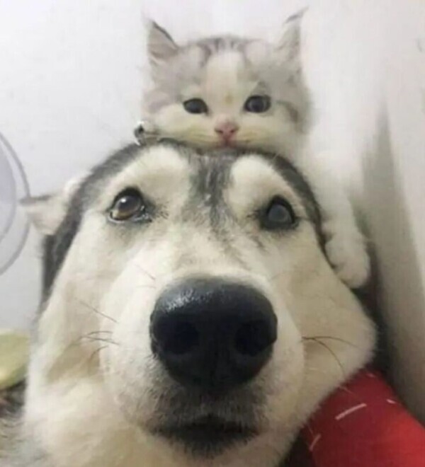 おはようございます☀️