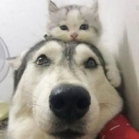 おはようございます☀️