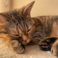 出勤しました🐾