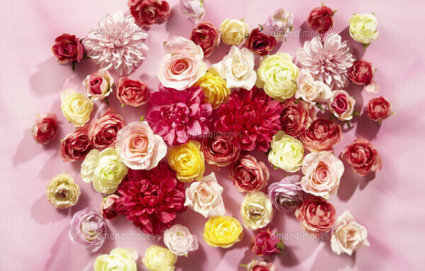 ありがとうございました♥️