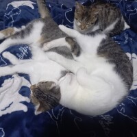 おやすみなさい😴