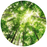 ボイスセラピー