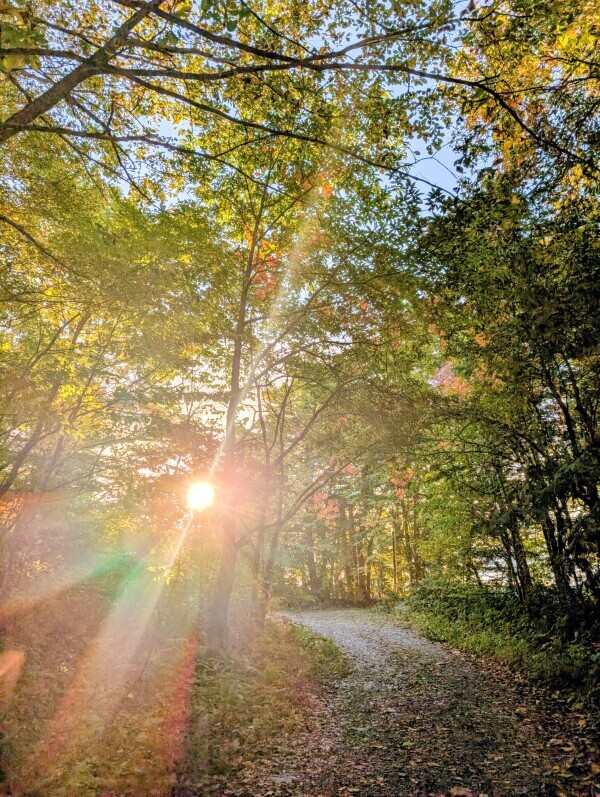 本日夕方から出勤です