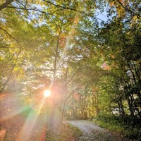 本日夕方から出勤です