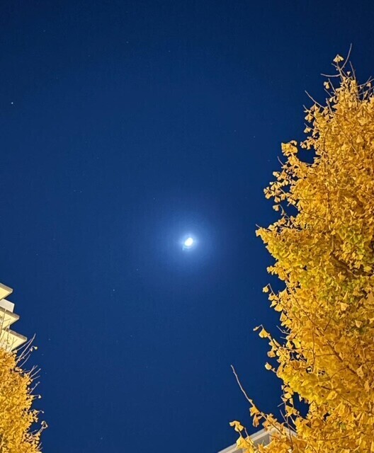 本日もラストまでです❣️