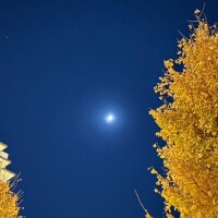 本日もラストまでです❣️