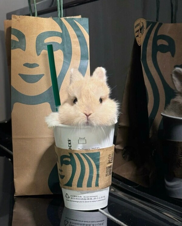 ありがとうございました✩.*˚