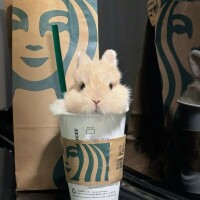 ありがとうございました✩.*˚