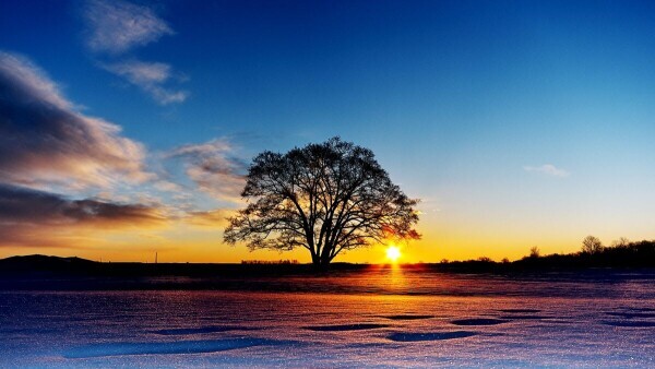 🍀おはようございます🍀
