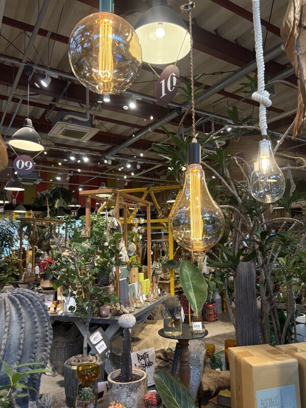 (土)オヤツ手前から出勤です🤗