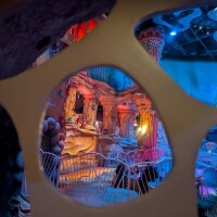 本日お休みです😪