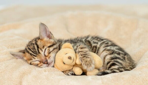 🍁🍁出勤しています🍁🍁今日は遅くまでおります🍁