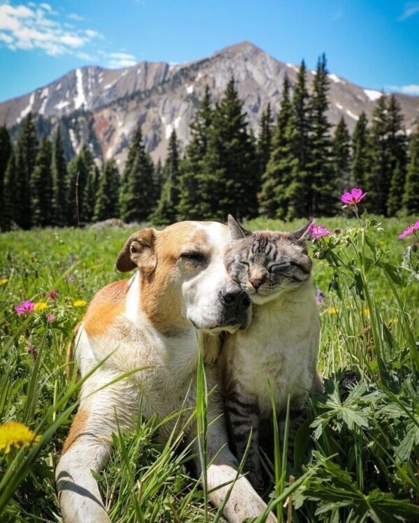 おはようございます☀️