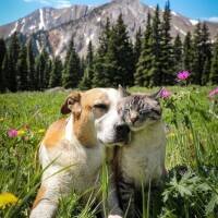 おはようございます☀️