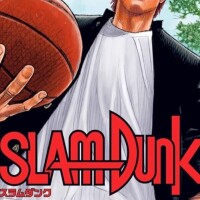 ✨🪷夕方から🪷✨