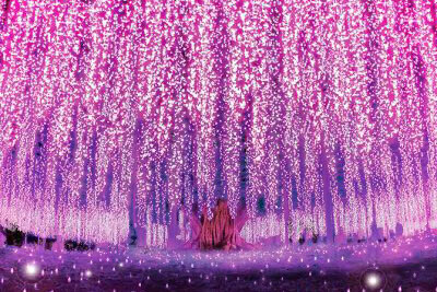 🎄本日もありがとうございました🎄