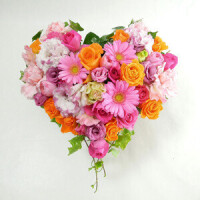 おやすみなさい🌙