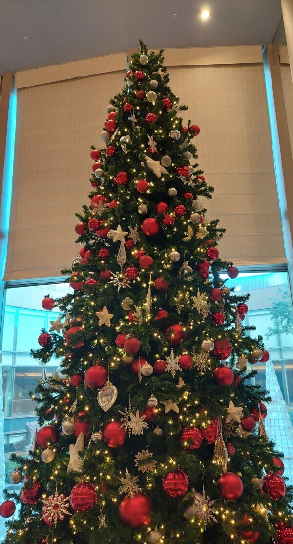 もうそんな時期( * ॑꒳ ॑*)