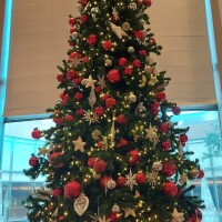 もうそんな時期( * ॑꒳ ॑*)