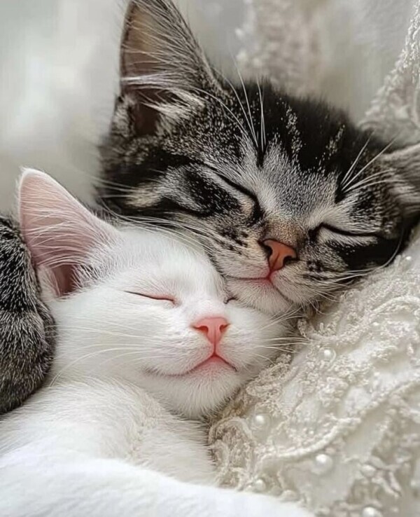 出勤してます😃